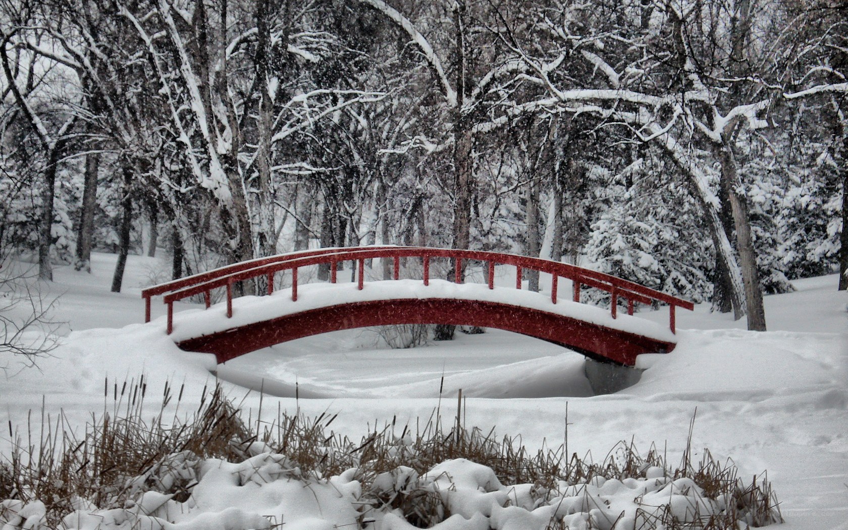 Red bridge in snowy forest