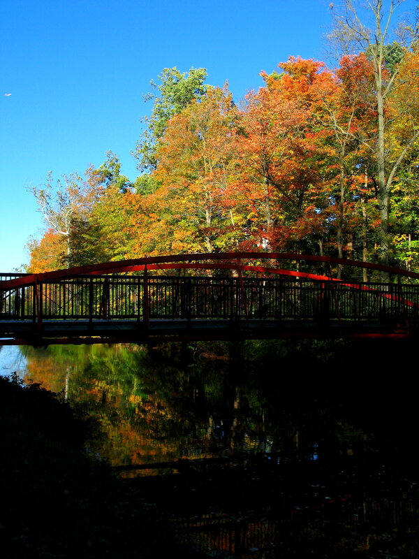 Red bridge over autumn river