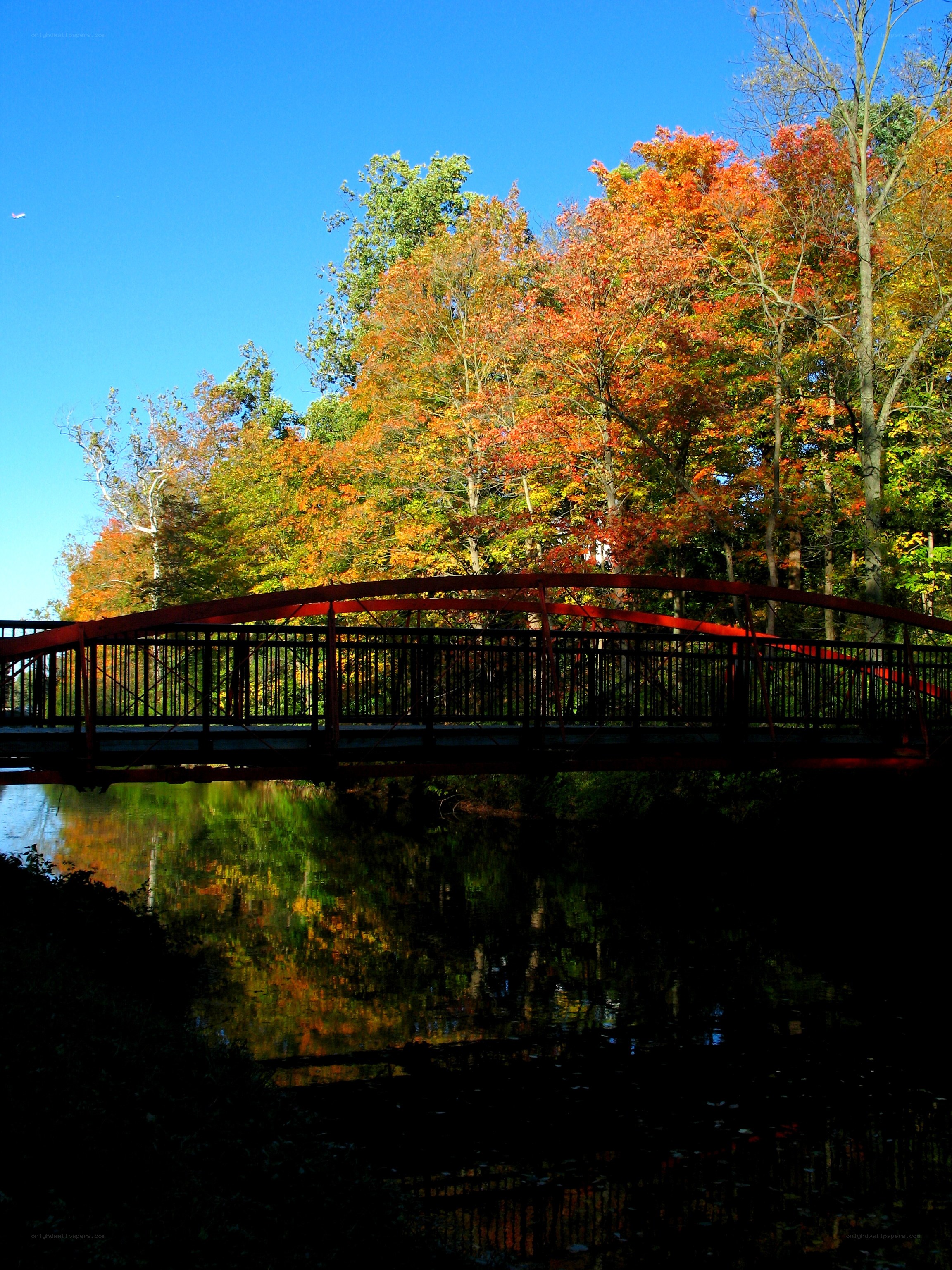 Red bridge over autumn river