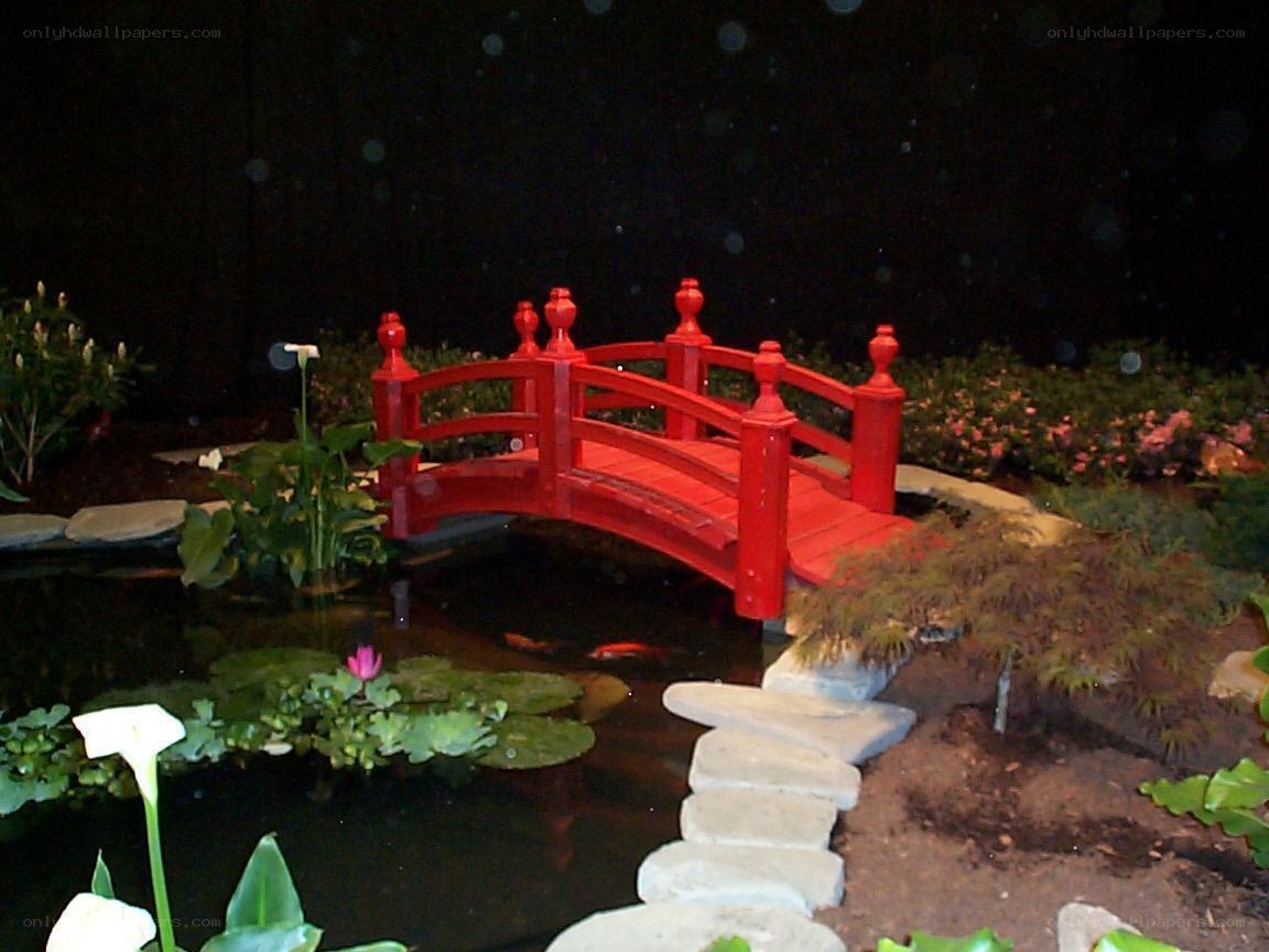 Red bridge over koi pond