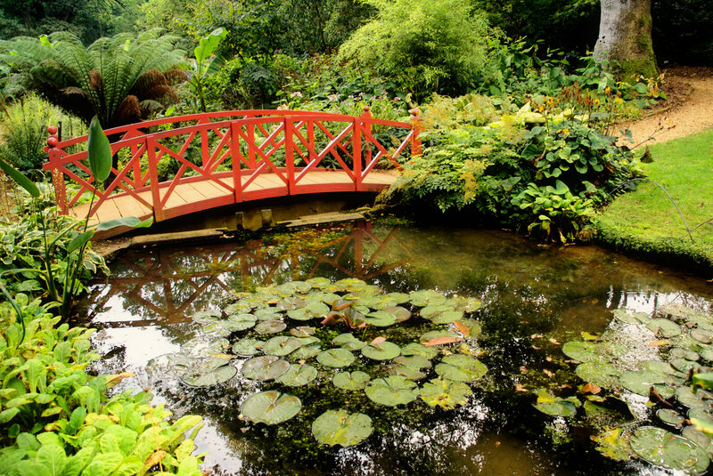 Red Bridge over Pond — Green, Serene, Afternoon, Photograph, Lily Pads