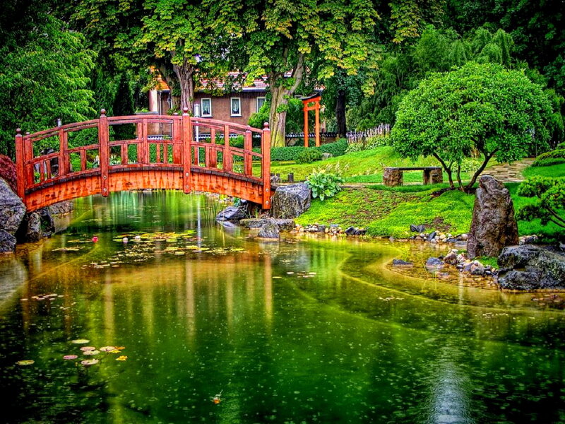 Red Bridge over Pond — Green, Serene, Afternoon