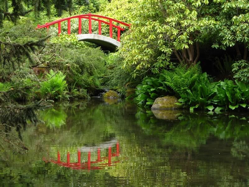 Red Bridge over Pond — Green, Serene