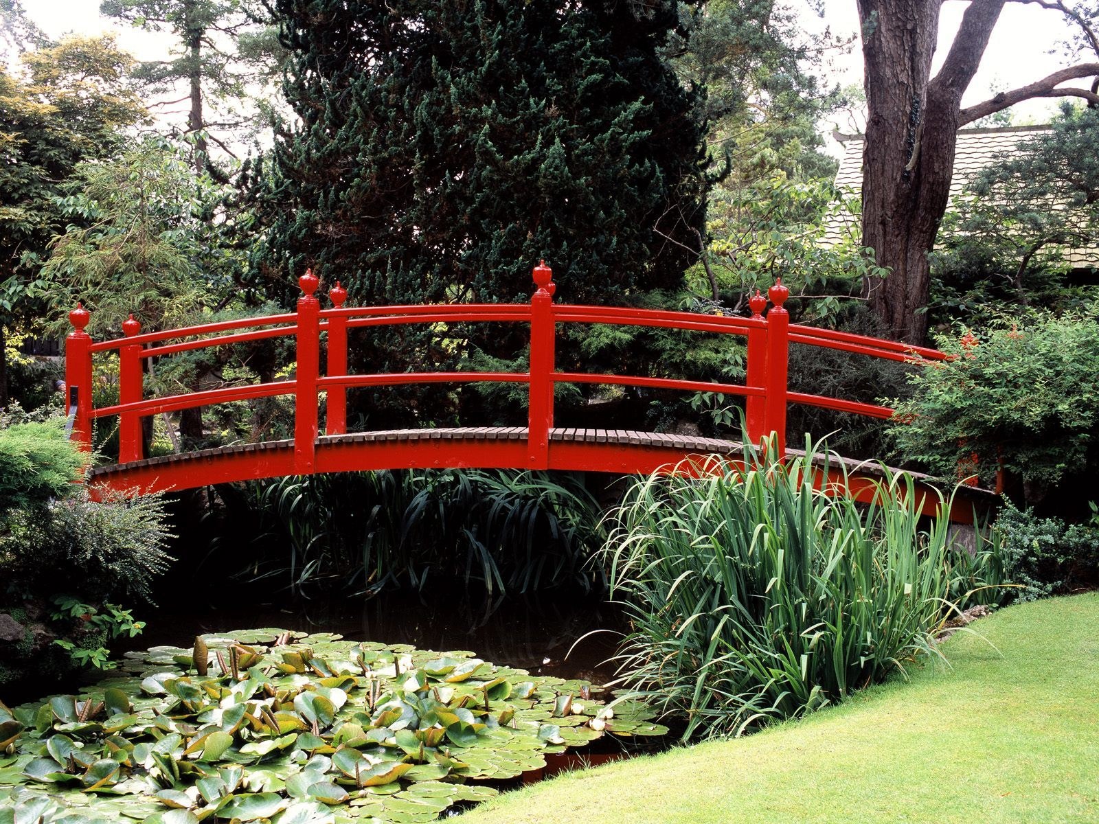 Red bridge over pond in garden