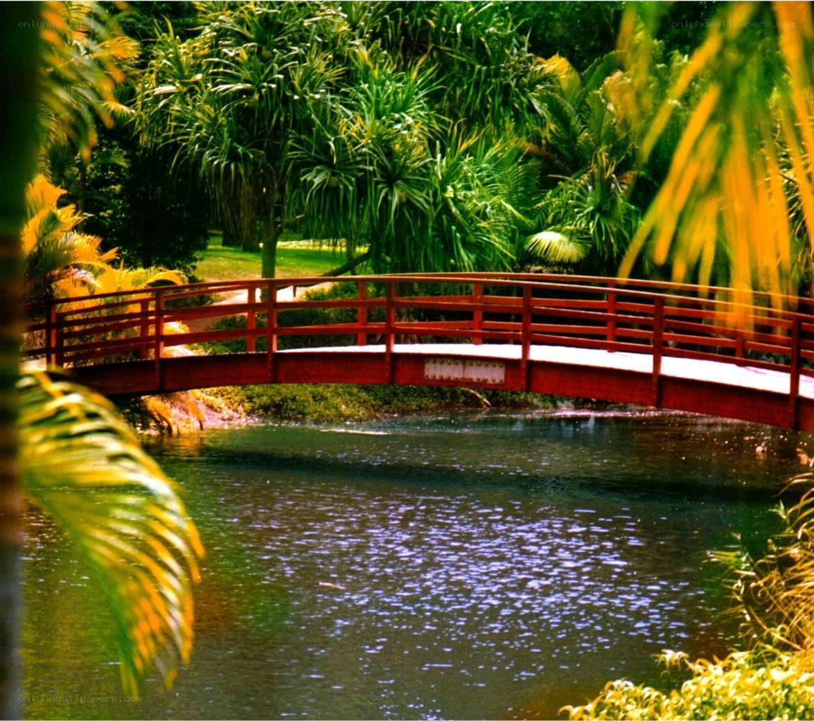 Red bridge over pond in park
