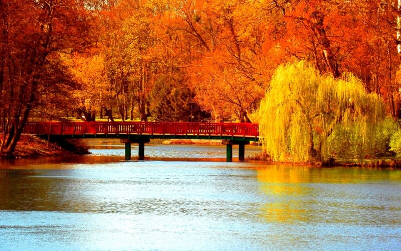 Red Bridge over Pond — Orange
