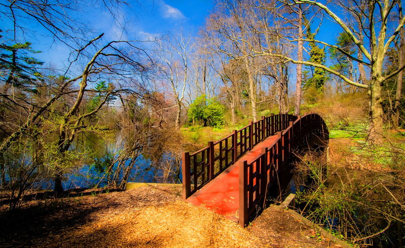 Red Bridge over Pond — Serene, Spring