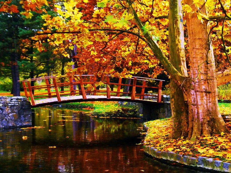 Red Bridge over Pond — Yellow, Serene