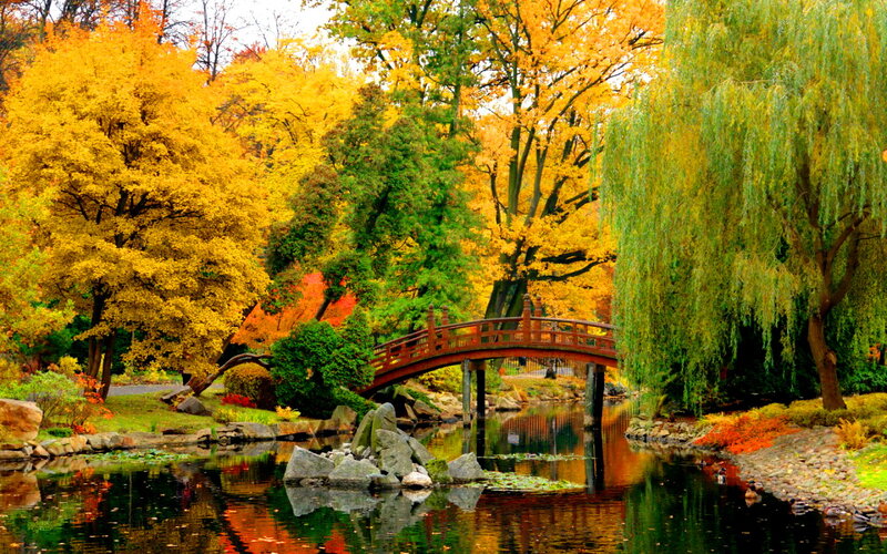 Red Bridge over Pond — Yellow
