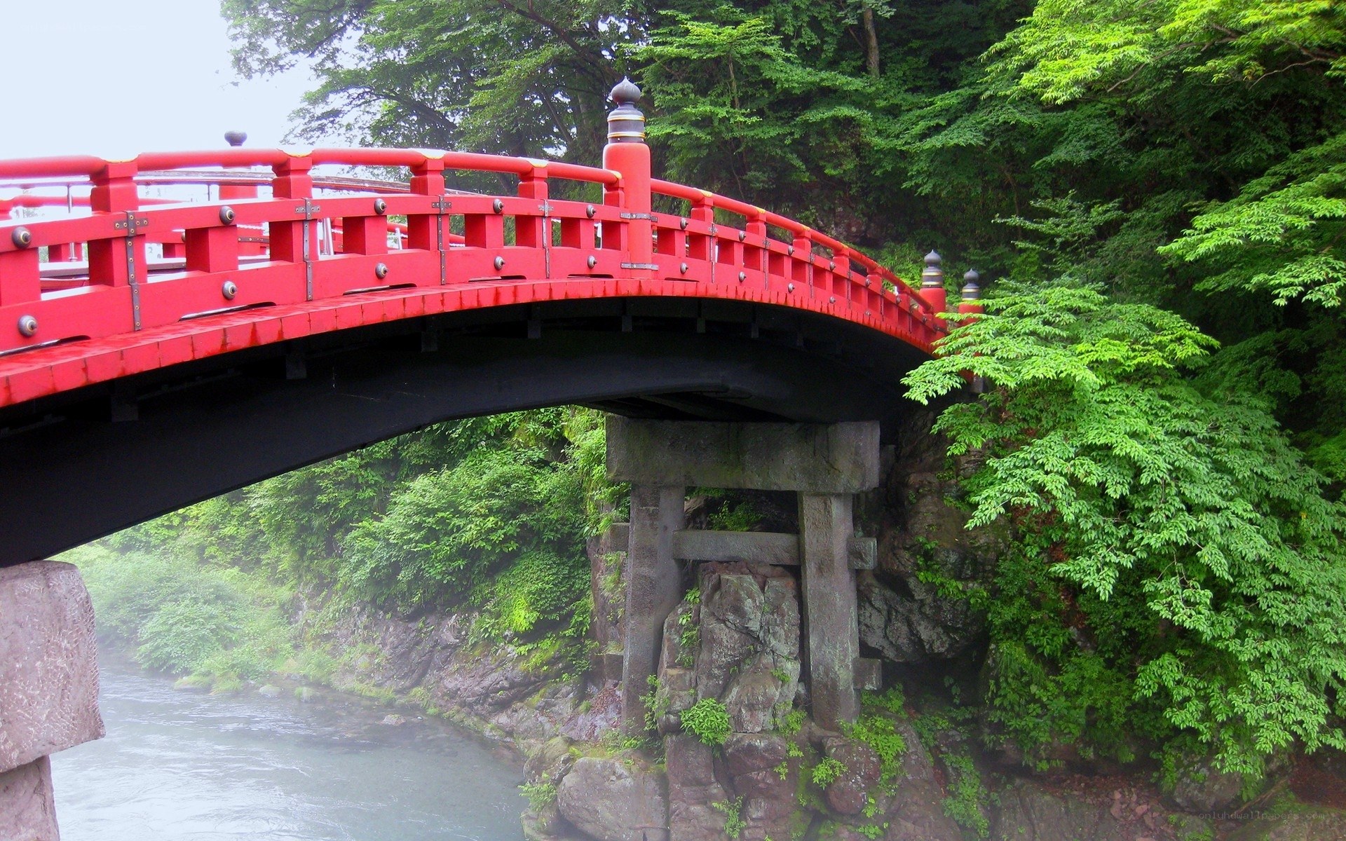 Red bridge over river in forest