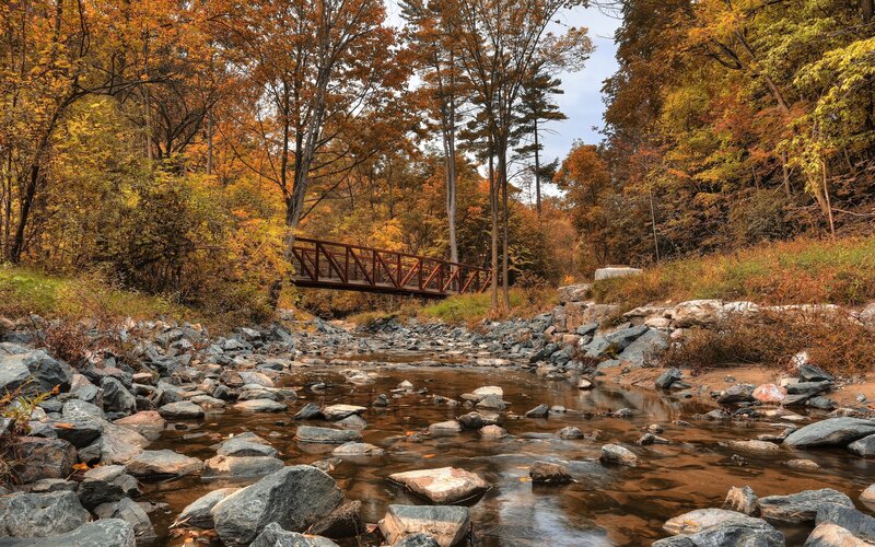 Red Bridge over Stream — Autumn