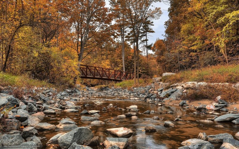 Red Bridge over Stream — Orange, Serene, Autumn, Photograph