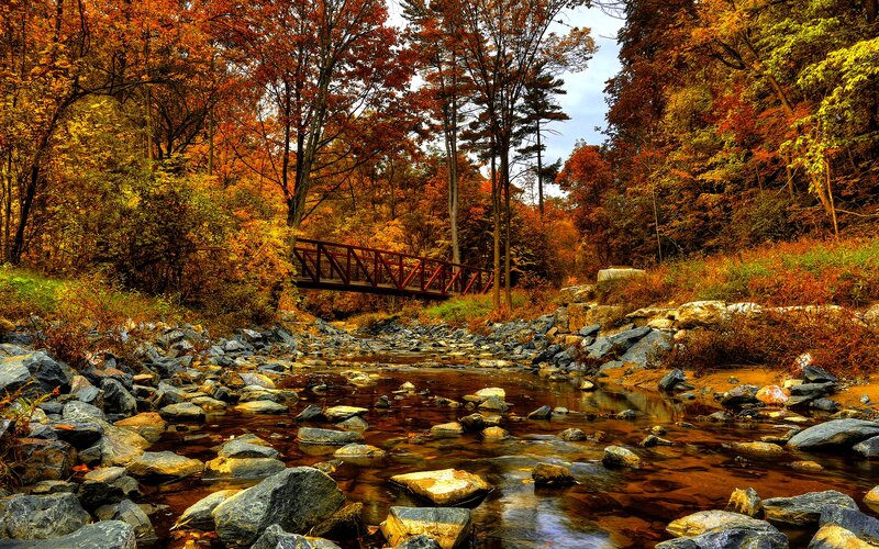 Red Bridge over Stream — Orange, Serene