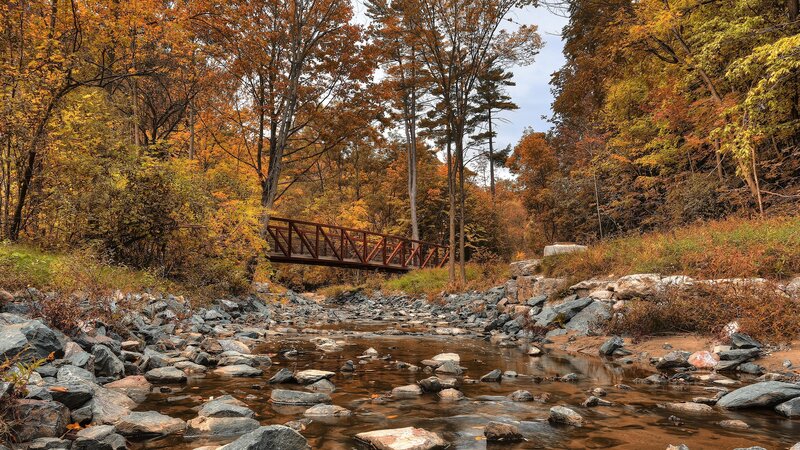 Red Bridge over Stream — Photograph