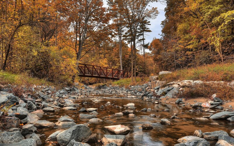 Red Bridge over Stream — Serene