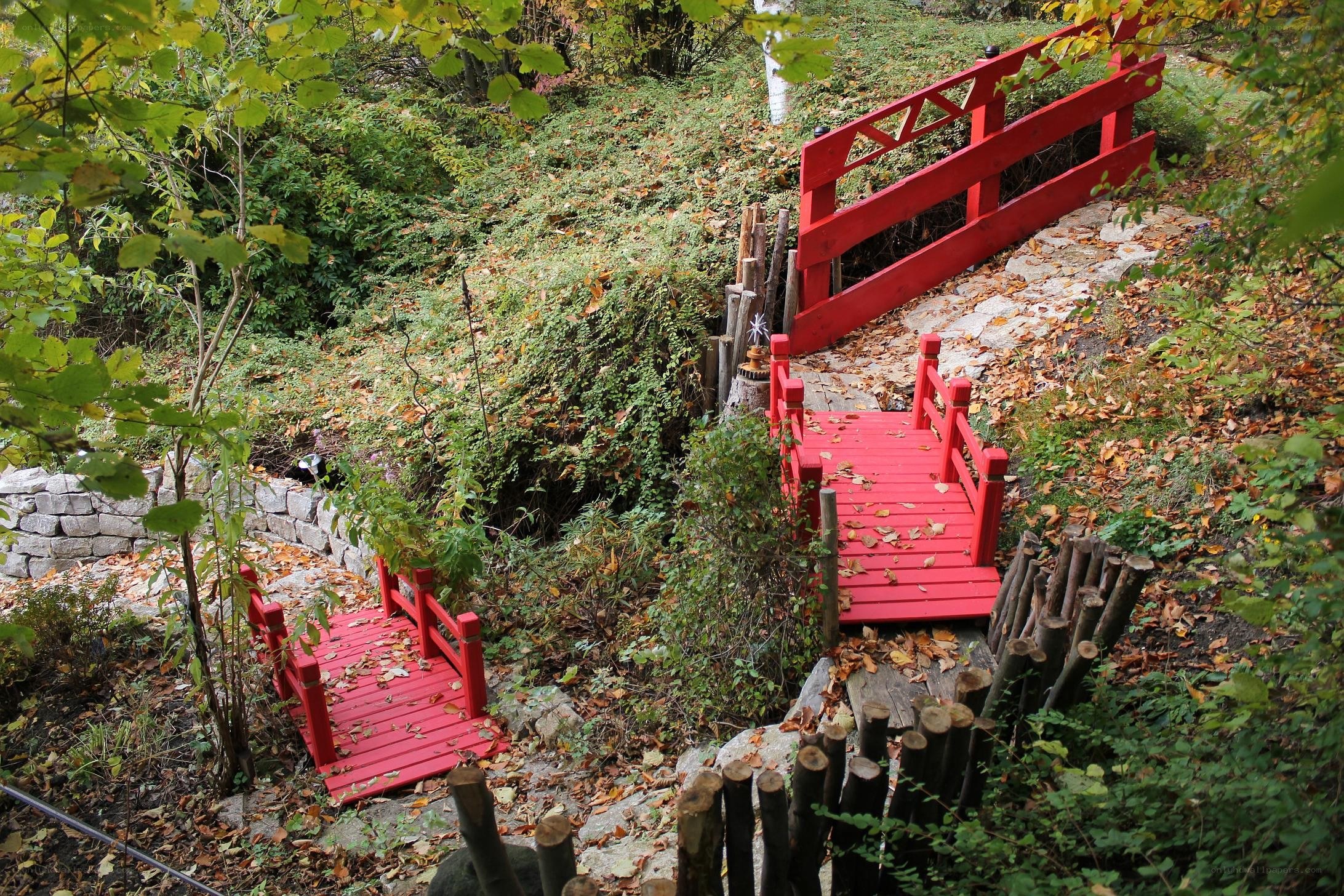 Red bridges in a forest garden