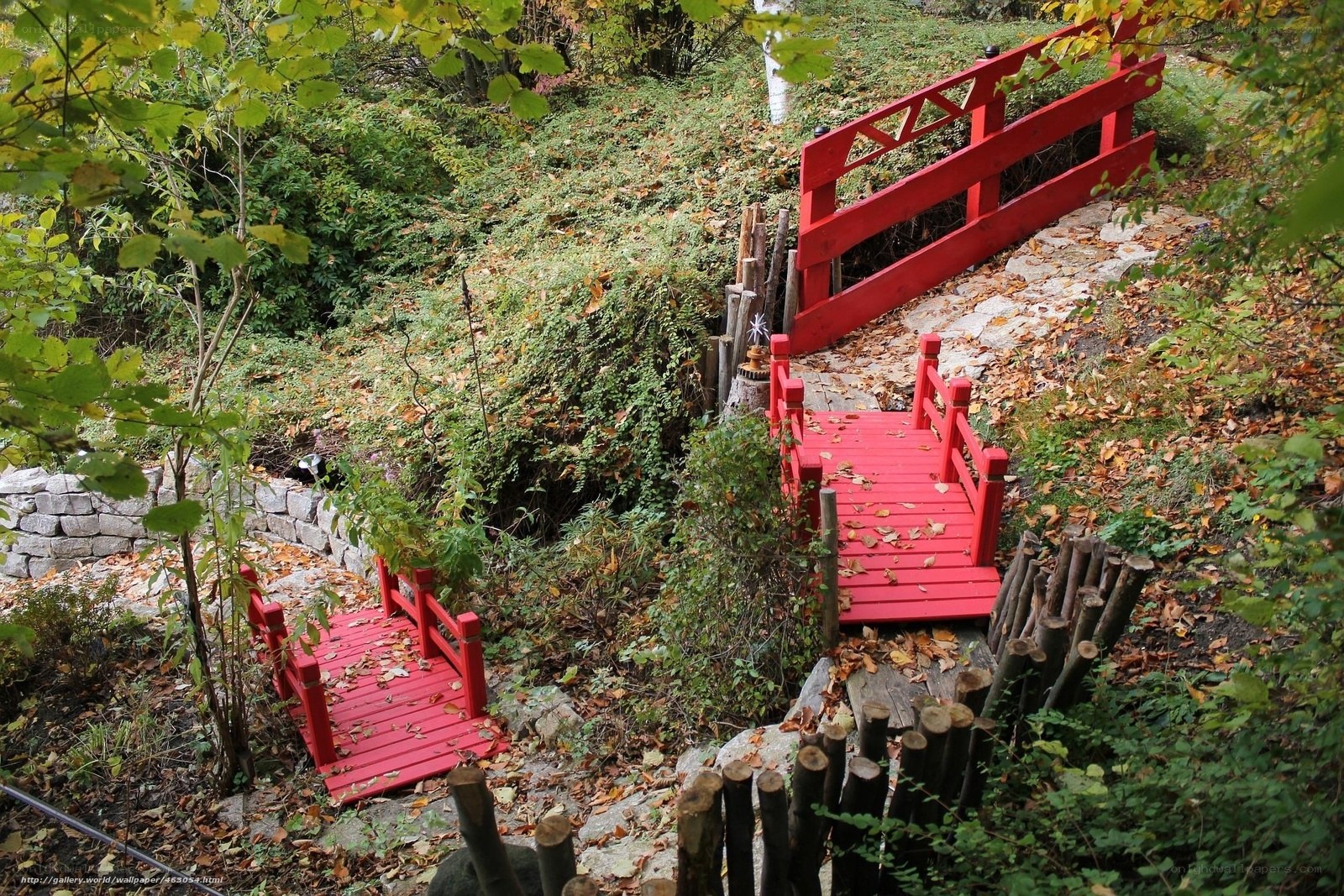Red bridges in a forest