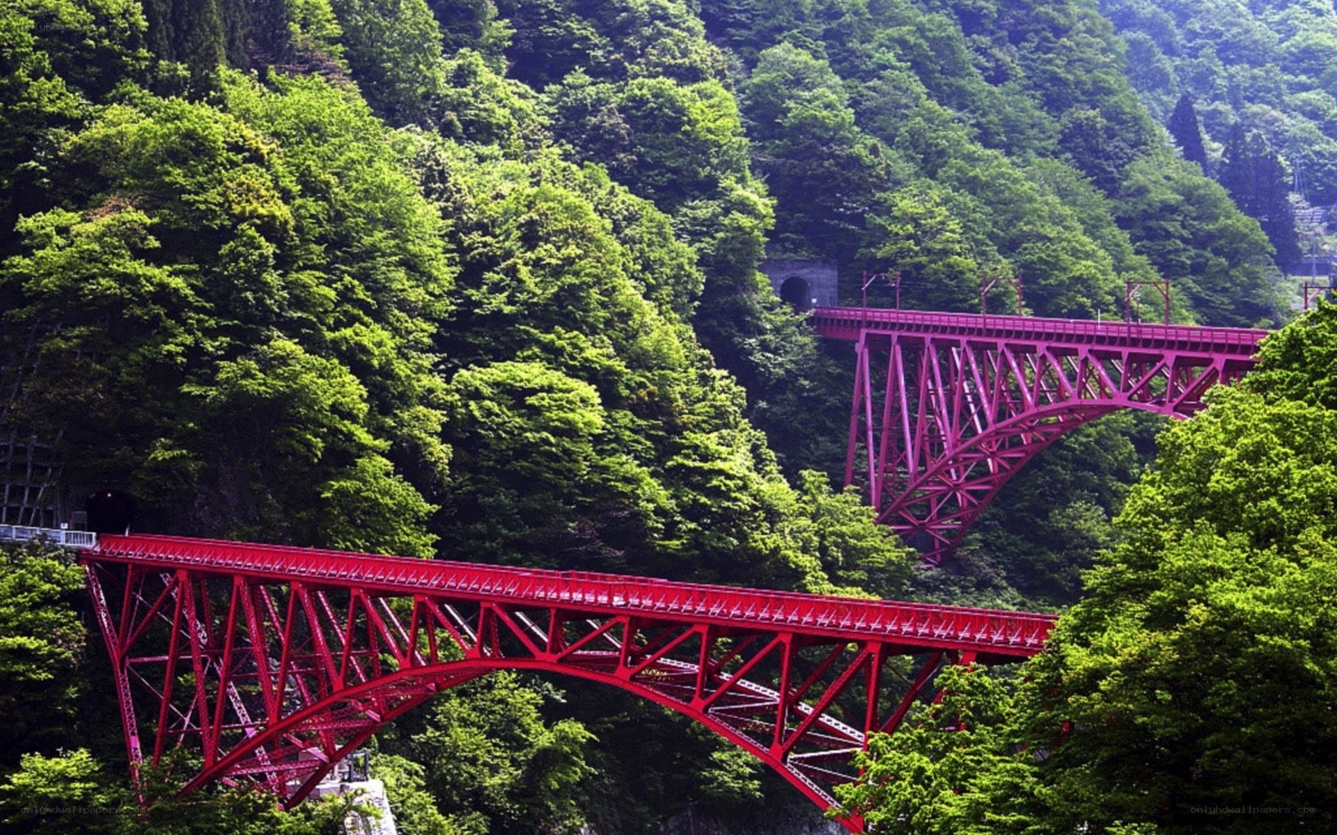 Red bridges in forested valley