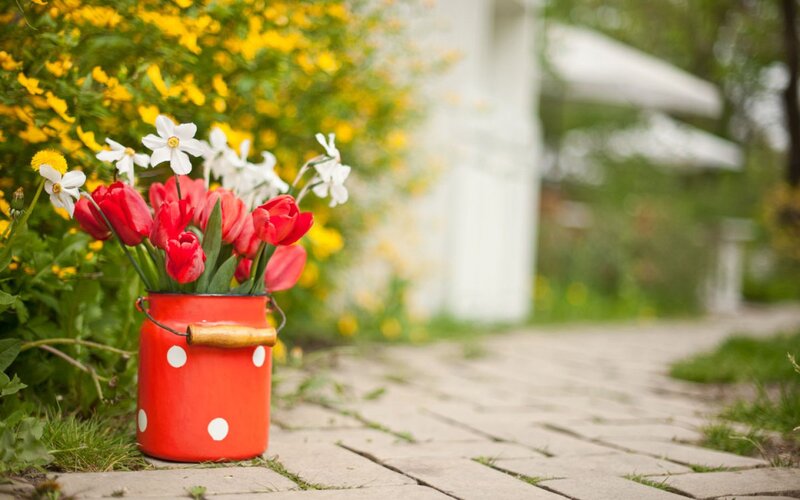 Red Bucket with Flowers