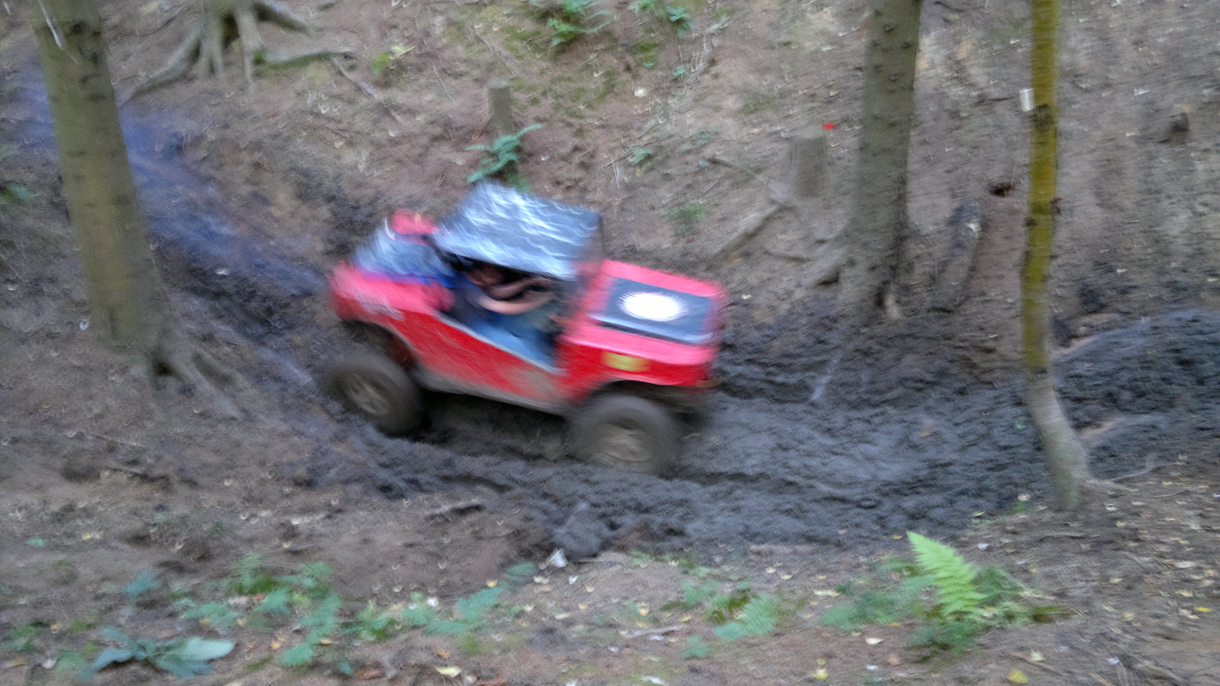 Red buggy in muddy forest