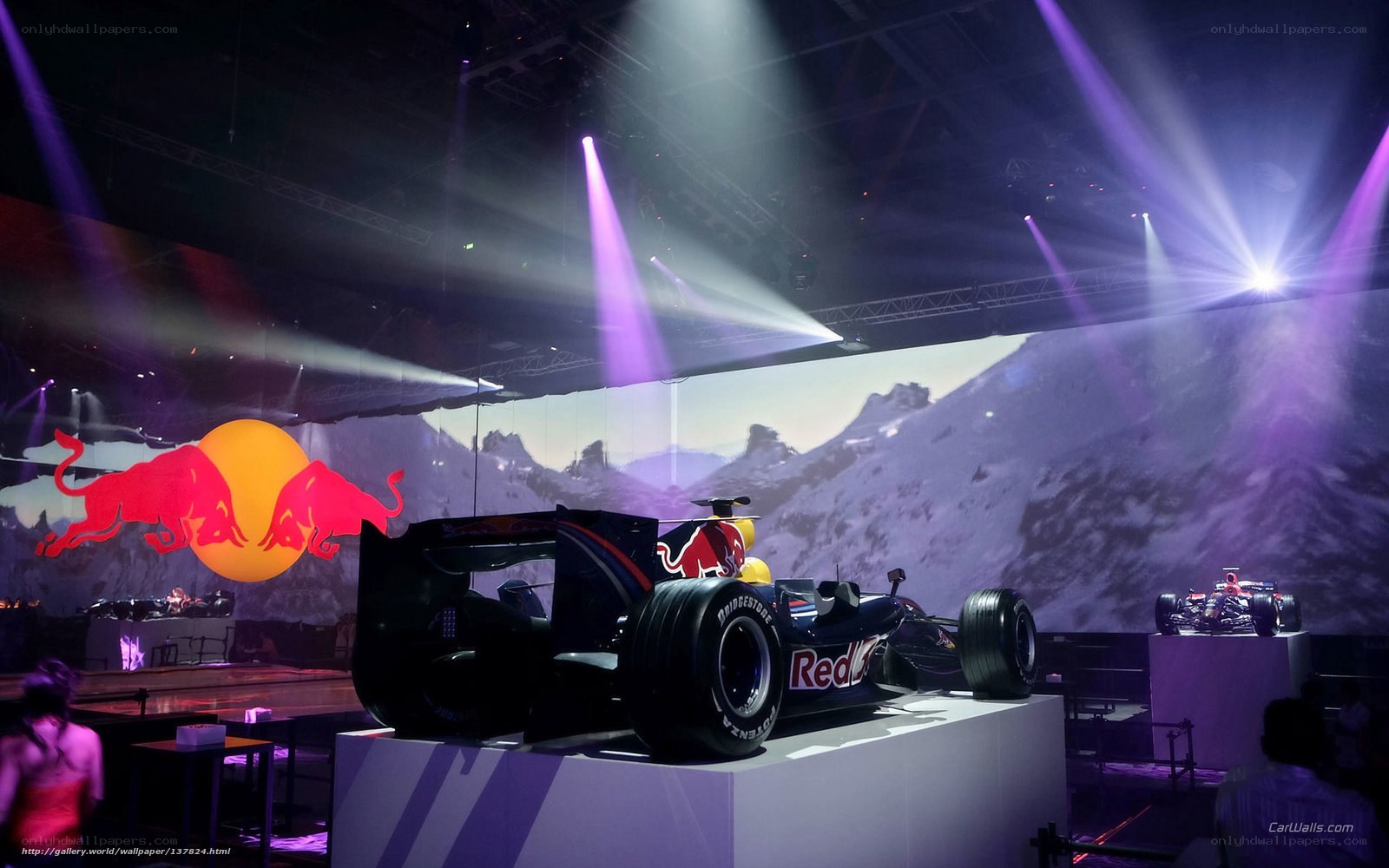 Red Bull F1 car display