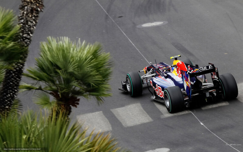 Red Bull Formula 1 car on track