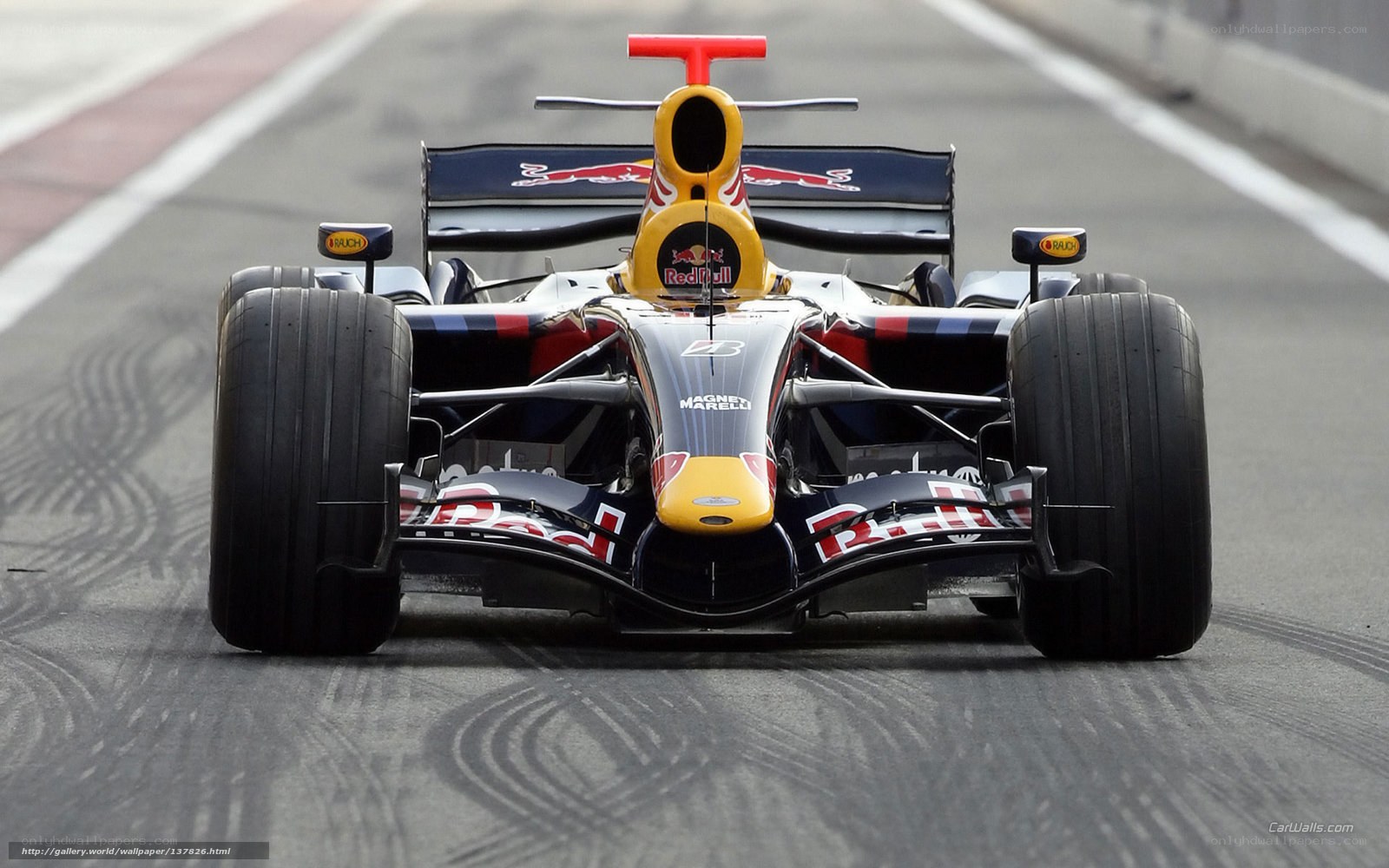 Red Bull Formula 1 car on track