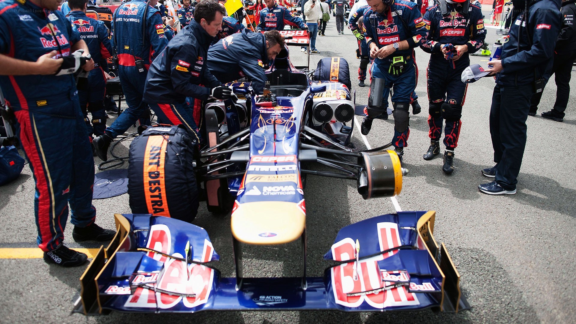 Red Bull Formula 1 team at work