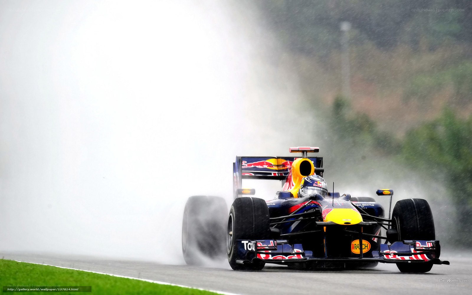 Red Bull racing car on wet track