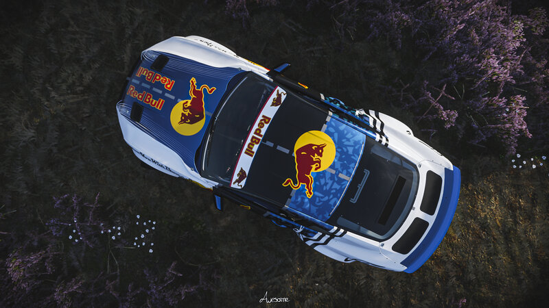 Red Bull Rally Car