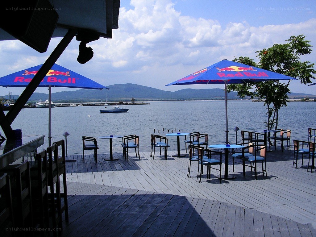 Red Bull umbrellas by the water