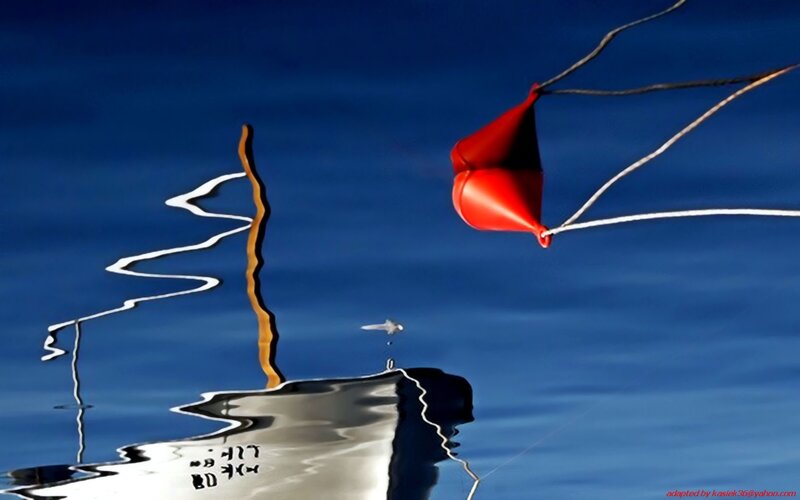 Red buoy on calm water