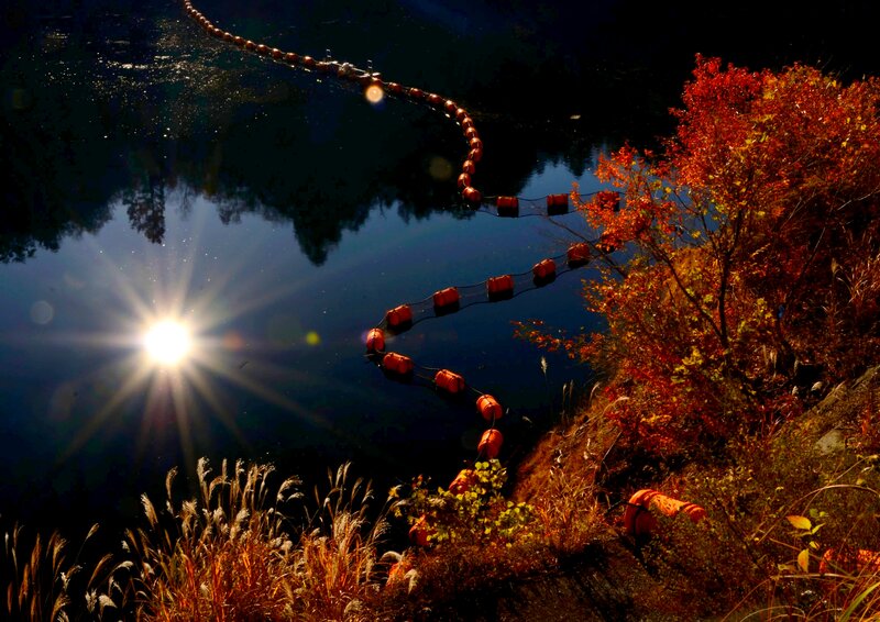 Red Buoys on Lake