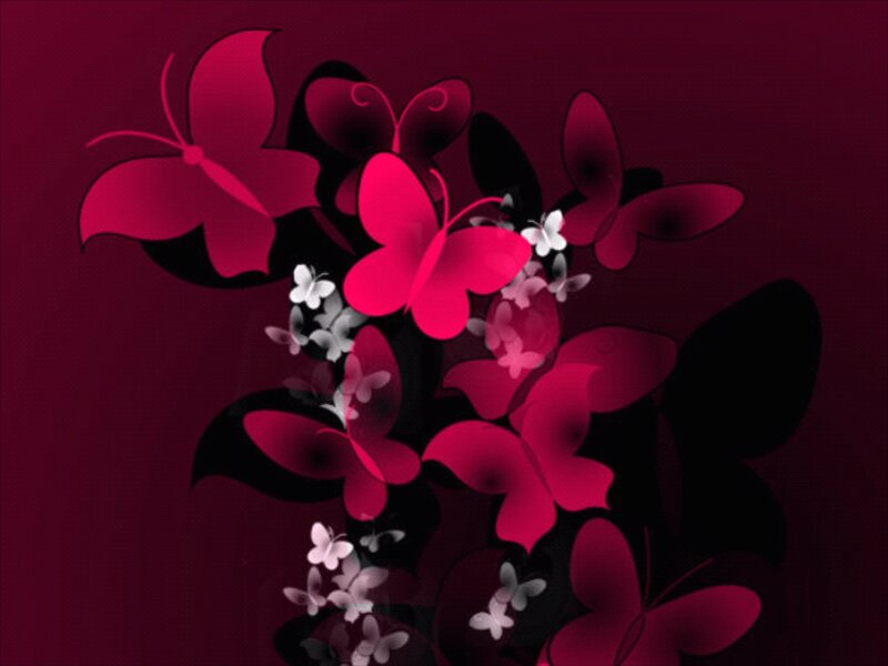Red Butterflies and Flowers — Dramatic