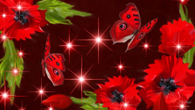 Red Butterflies and Flowers