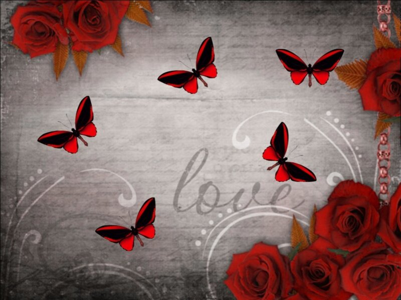 Red Butterflies and Roses — Romantic