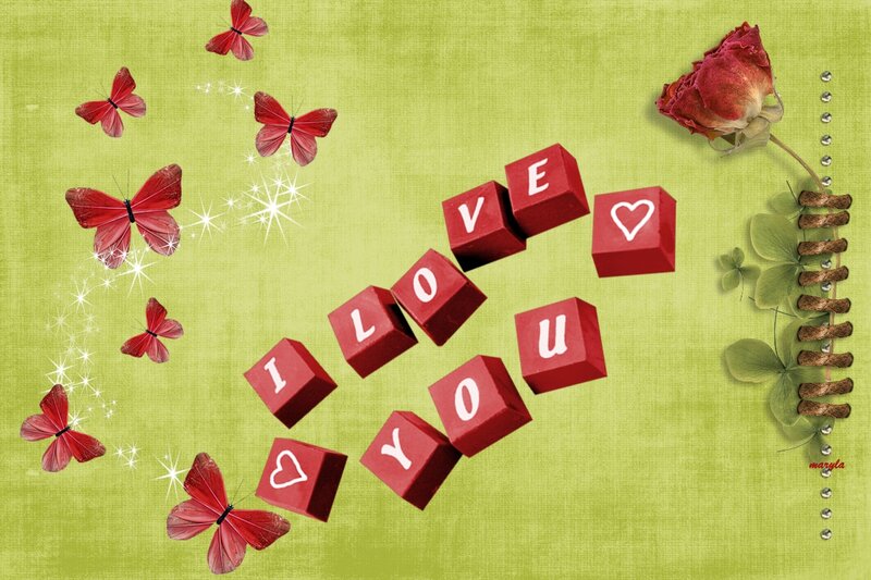 Red Butterflies and Roses