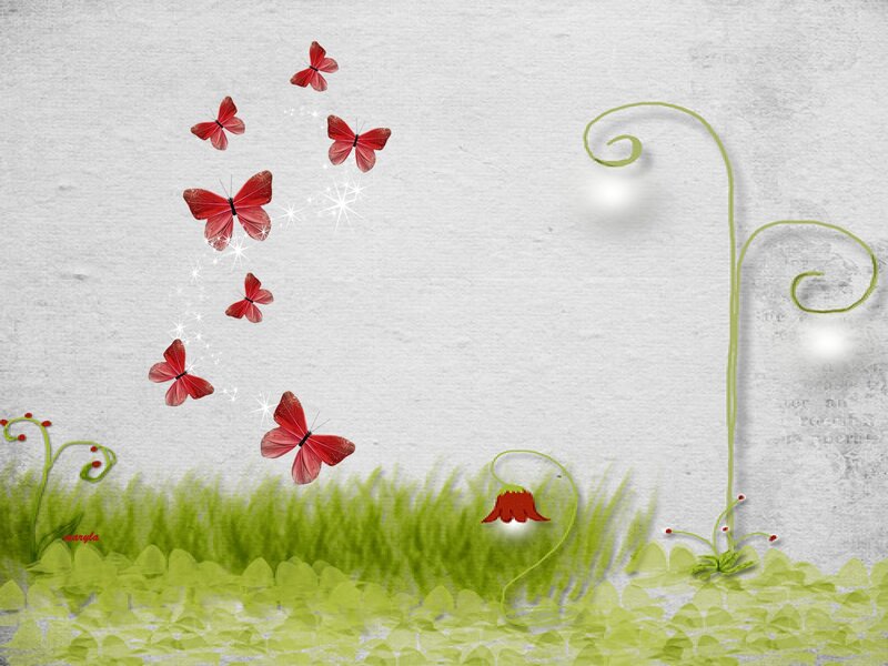 Red Butterflies in Grass
