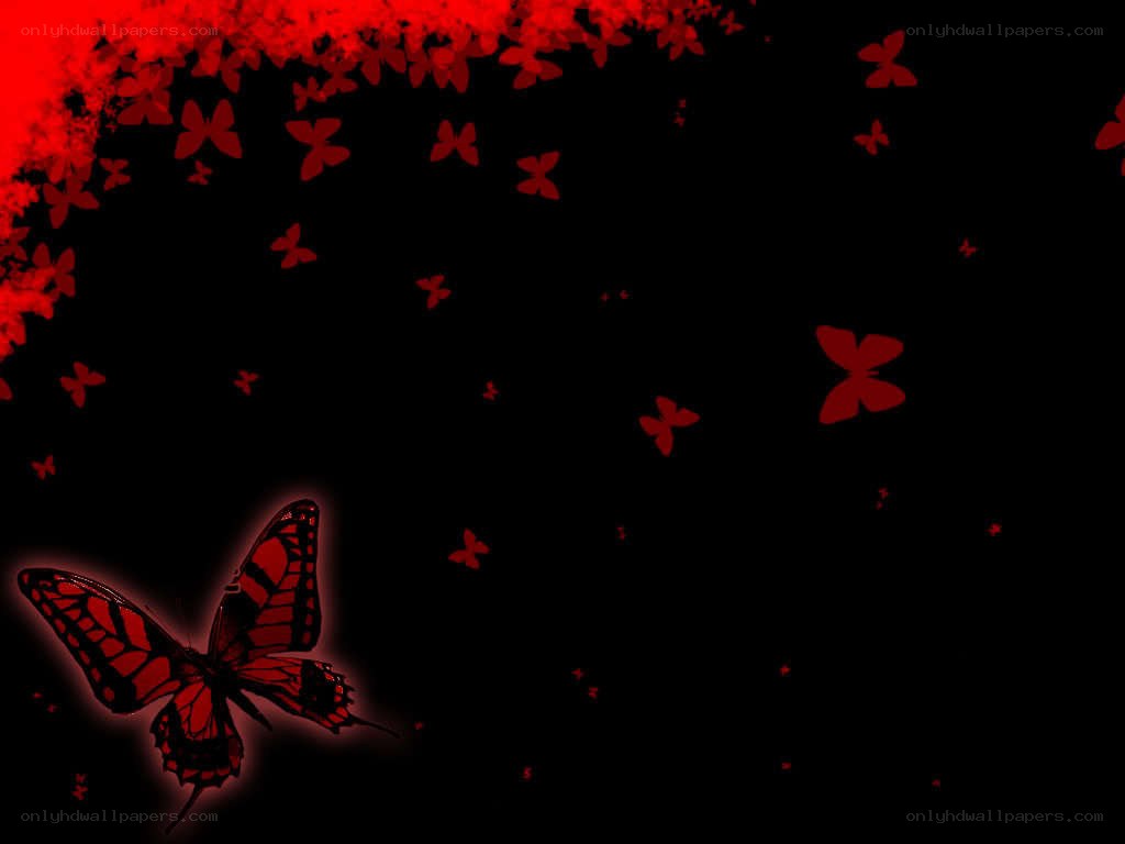 red butterflies on black background
