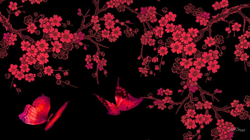 Red Butterflies on Cherry Blossoms