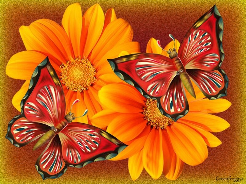 Red Butterflies on Flowers