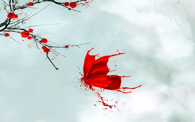 Red Butterfly and Blossoms