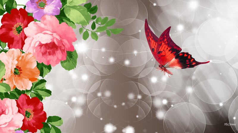 Red Butterfly and Flowers