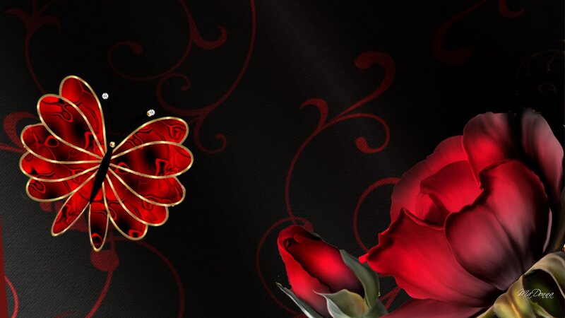 Red Butterfly and Rose