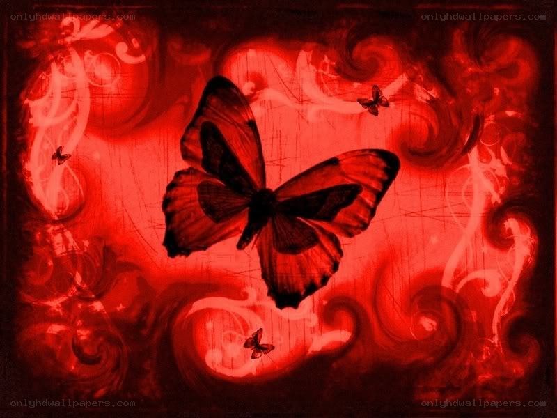 red butterfly art