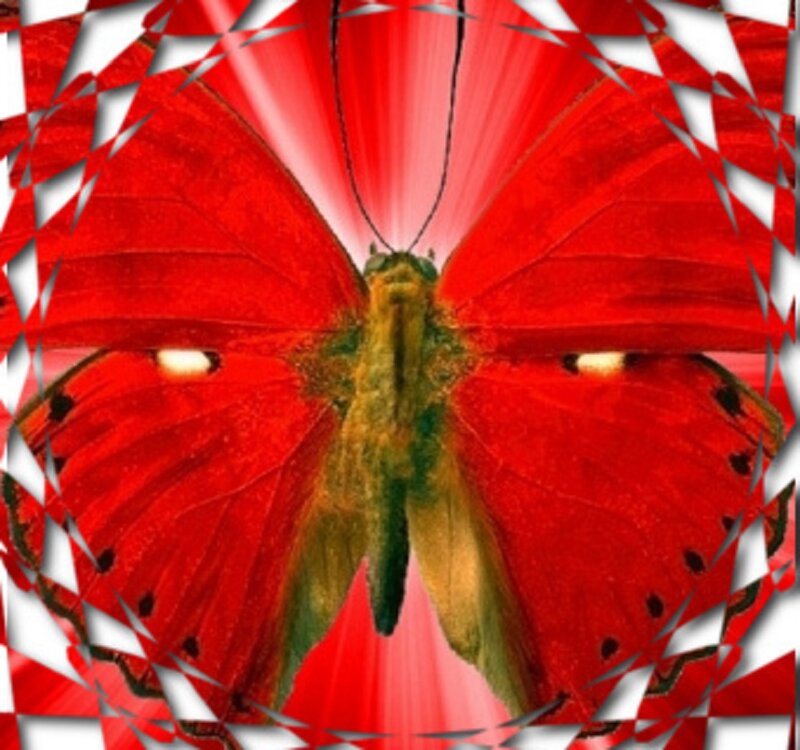 Red Butterfly — Dramatic, Digital Art, Wings, Antennae