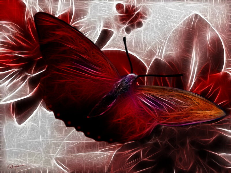 Red Butterfly — Dramatic