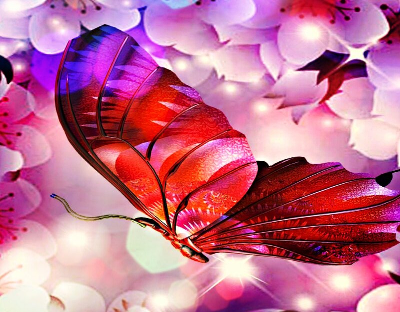 Red Butterfly — Dreamy