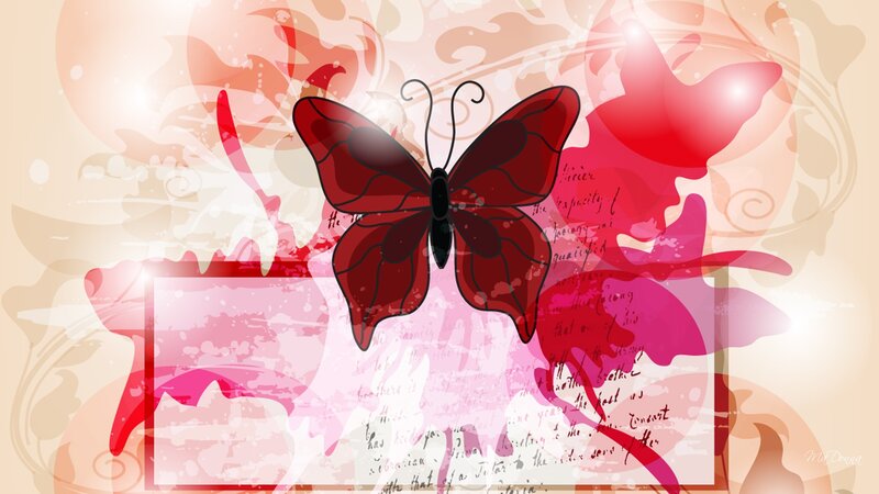 Red Butterfly Illustration