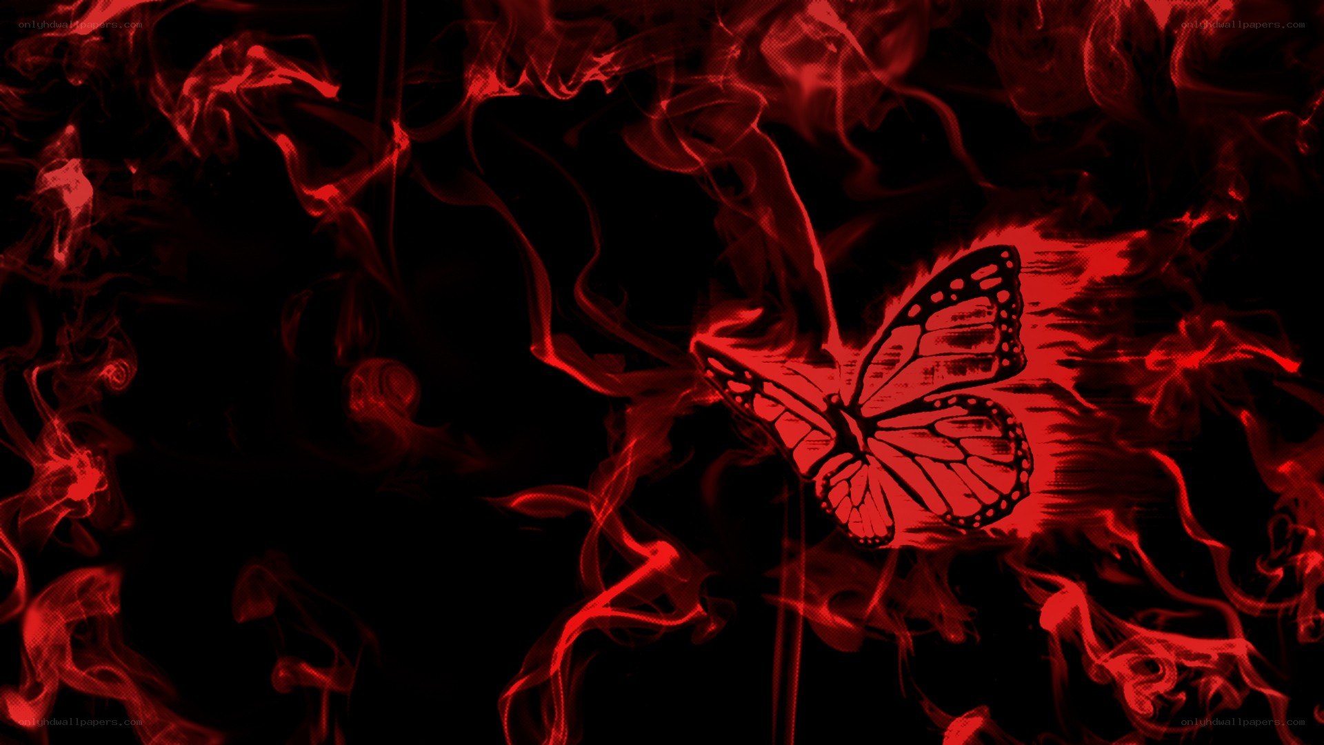 red butterfly in smoke